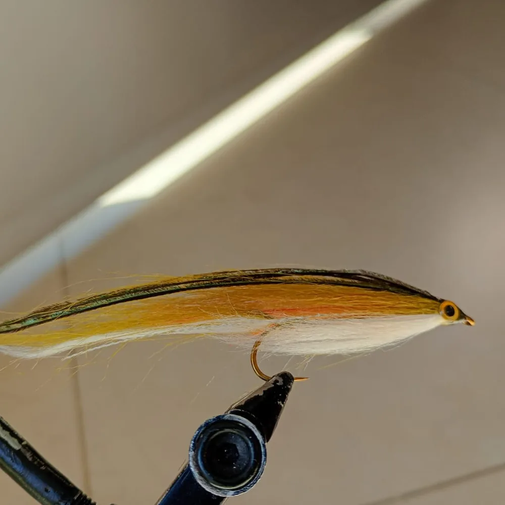 Baitfish Amarillo