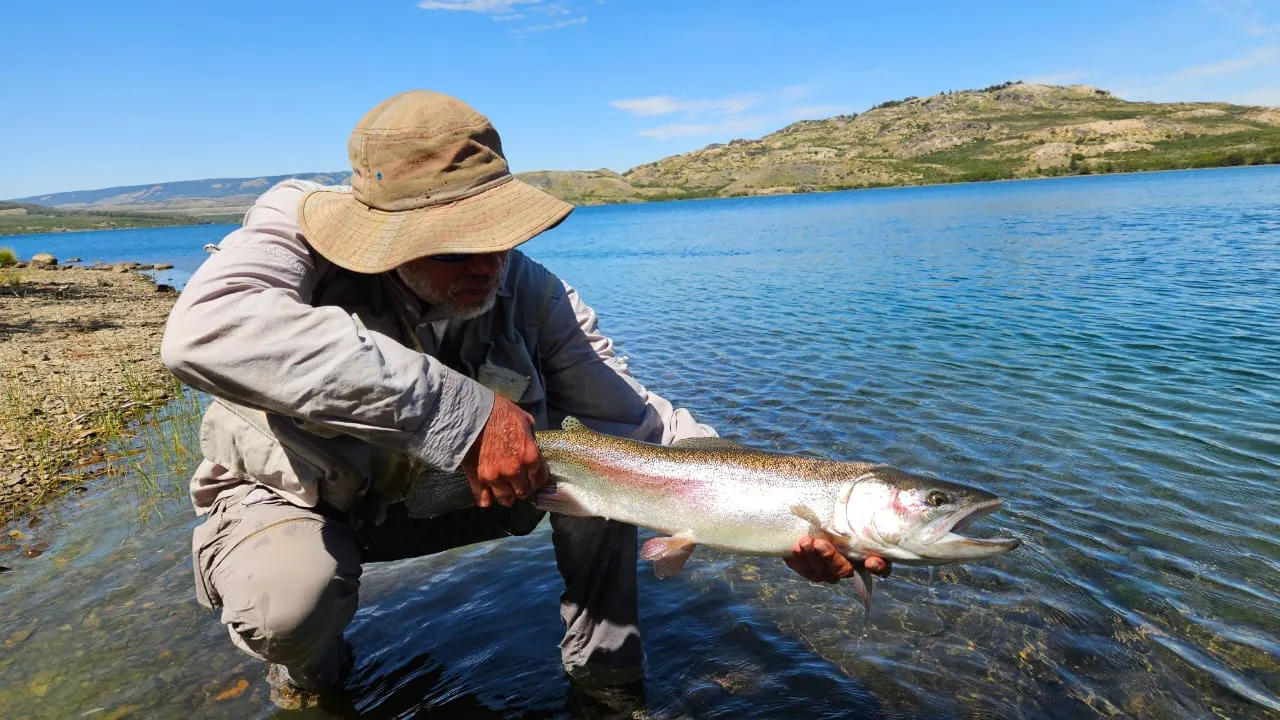 Pescador con sombrero agachado en el agua de un lago, sosteniendo una trucha arcoíris antes de devolverla
