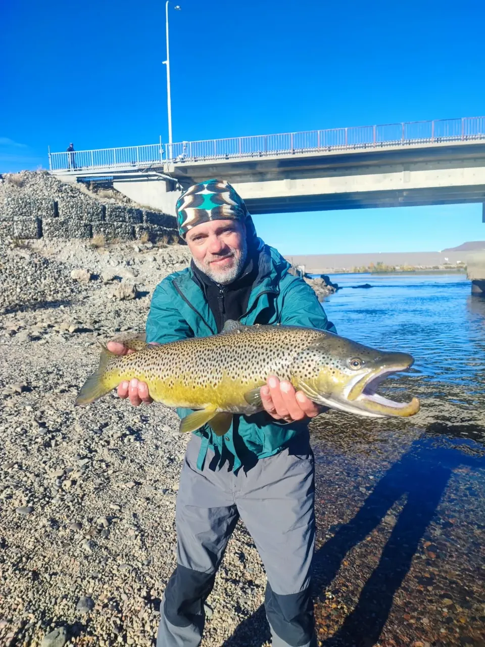 Pescador con pañuelo sosteniendo una trucha marrón grande en la orilla de un río, con un puente detrás
